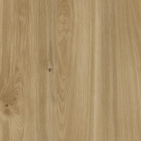 Medový dub